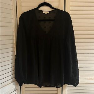 Entro Black Sheer Blouse